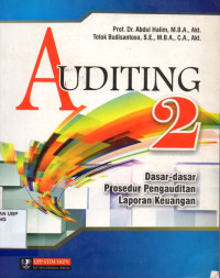 Auditing 2