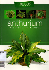 Anthurium: 175 Jenis Eksklusif 350 Foto