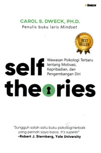 Self Theories