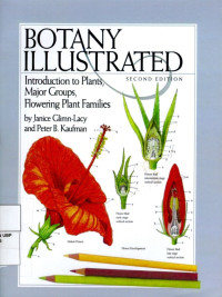 Botany Illustrated : Intriduction to Plants, Major Groups, Flowering Plant Families